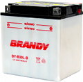 Bateria Convencional - R100 RT (1987 a 1995)&nbsp;&nbsp;&nbsp;&nbsp;YB30L-B