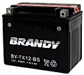 Bateria Selada - TT600 (2000 a 2003)&nbsp;&nbsp;&nbsp;&nbsp;YTX12-BS
