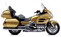 Gold Wing