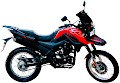 SHI 175