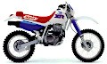 XR600R