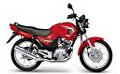 Factor e YBR 125